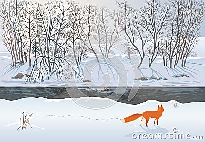 Fox in the winter forest Vector Illustration