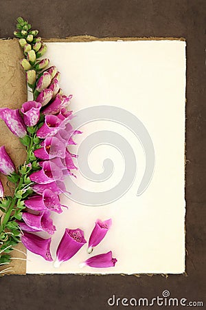 Foxglove Flower Stock Photo