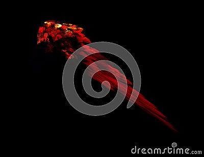 Fractal illustration of combustion Cartoon Illustration