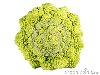 Fractal Texture of Romanescu Stock Photo