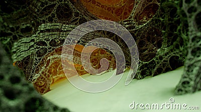 Fractal trabeculars structures (three dimensional fractal designed by fractal-generator software) Stock Photo
