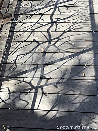 Fractured Shadows on stairs Stock Photo