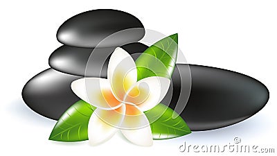 Fragipani With Leaves And Stones. Vector Vector Illustration