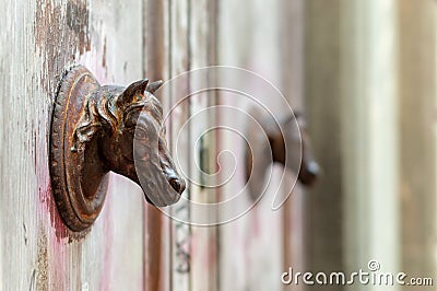 Fragment of brown old wooden door with metal door handles horse head shaped. Florence, Italy Stock Photo