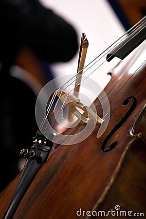 Fragment of the cello Stock Photo