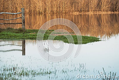 Fragment of fence standing in the water in the flooded meadows, the reflection of the forest in the river Stock Photo