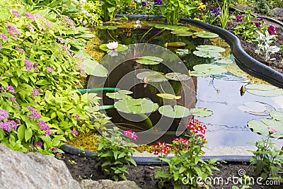 Fragment garden with an artificial pond Stock Photo