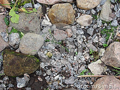 Fragment. abstract background, texture - an old road paved with natural wild glacial stone, overgrown with grass and moss. Stock Photo