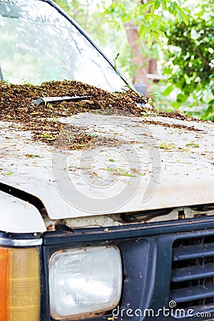 Fragment of old worn out white car, whose hood, windshield and roof covered. Stock Photo