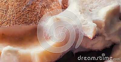 A fragment of pieces of peeled coconut with white mold. Stock Photo