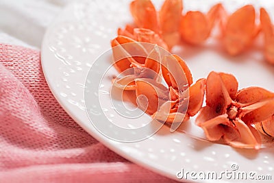 Fragment of the plate with dry buds of orange fragrant flowers. Stock Photo