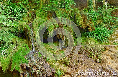 A fragment of rock covered with moss Stock Photo