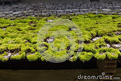 Fragment of roof covered with moss of wooden medieval church Stock Photo