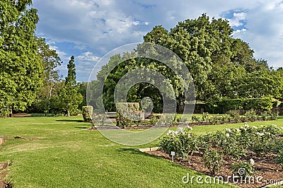 Fragment of rosarium in Botanical Garden Stock Photo