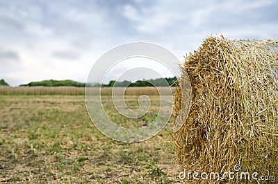 Fragment of a round haystack on a field Stock Photo
