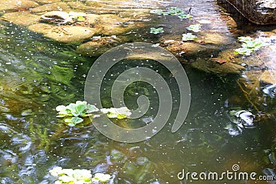Fragment of a small decorative artificial waterfall Stock Photo