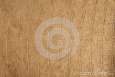 Fragment of a snake leather as a background or texture. Stock Photo