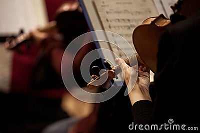 Fragment of a violin in the hands of a musician Stock Photo