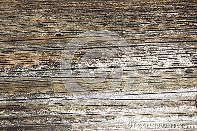 Fragment of the wall of old wooden house Stock Photo