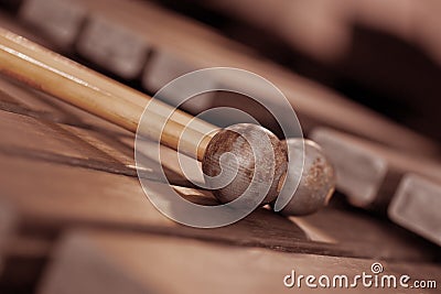 Fragment xylophone closeup Stock Photo