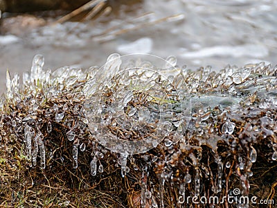 Fragments of frozen seaweed ice texture Stock Photo
