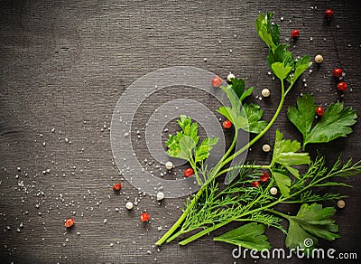 Fragrant fresh parsley and dill arranged on a diagonal dark background. Stock Photo