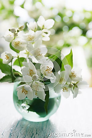 Feliz cumpleaños, Nirti !!! Fragrant-jasmine-bouquet-vase-table-31751356