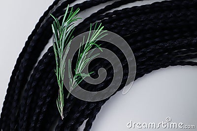 fragrant medicinal evergreen rosemary on a light background with a transparent glass and a jar of hair oil Stock Photo