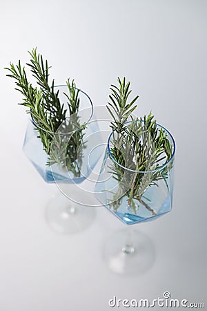 fragrant medicinal evergreen rosemary on a light background with a transparent glass and a jar of hair oil. medical Stock Photo