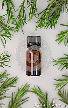 fragrant medicinal evergreen rosemary on a light background with a transparent glass and a jar of hair oil. medical Stock Photo