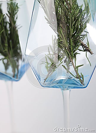 fragrant medicinal evergreen rosemary on a light background with a transparent glass and a jar of hair oil. medical plant Stock Photo