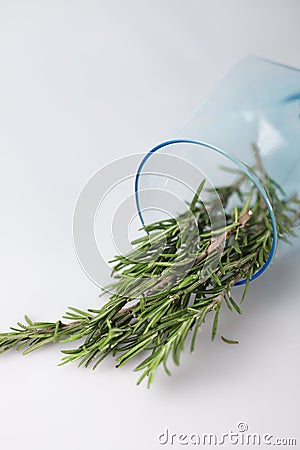 fragrant medicinal evergreen rosemary on a light background with a transparent glass and a jar of hair oil. medical Stock Photo