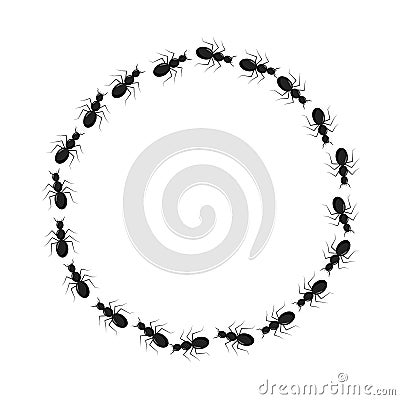 Frame from ants going in a circle. Path ants on circle. Ant trails. Vector Illustration