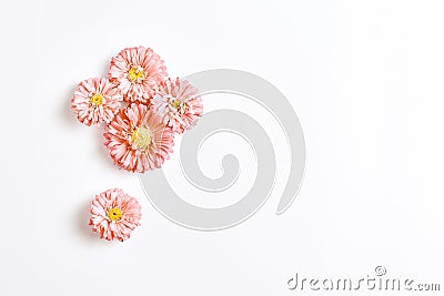 Frame autumn flowers. pink stars on a white background. copy space, flat lay Stock Photo