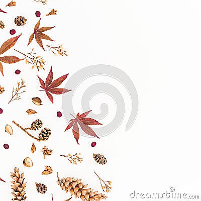 Frame of autumn leaves, dried flowers and pine cones isolated on white background. Flat lay, top view, copy space. Stock Photo