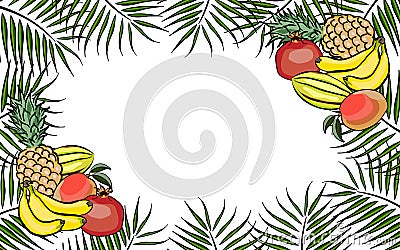 Frame background tropical fruits Vector Illustration