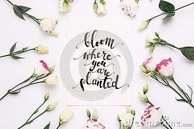 Frame of beautiful flowers and paper card with handwritten text Bloom where you are planted on white background, flat lay Stock Photo