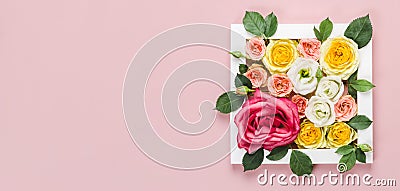 Frame with beauty roses on pink background. Woman day natural concept, banner format Stock Photo