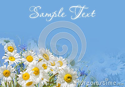 Frame and border with daisies on a blue background Stock Photo