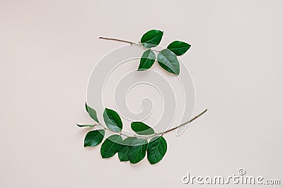 Frame of branches Stock Photo