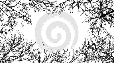 Frame from branches tree, silhouette of branches different trees. Vector illustration. Applied clipping mask Vector Illustration