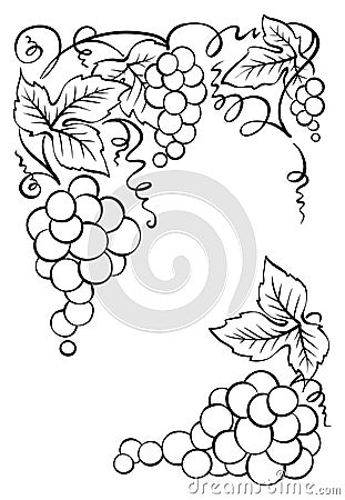 Frame of bunches of grapes Vector Illustration