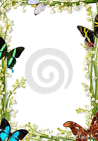 Frame With Butterflies Stock Photo