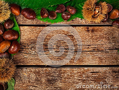 Frame of chestnuts, leaves and chestnut bur. Stock Photo