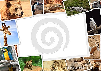 Frame with collection of wild animals Stock Photo