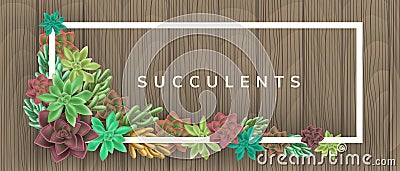 Frame with colorful succulent plants on wood background Vector Illustration