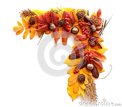 Frame, a corner of autumn leaves and fruits Stock Photo