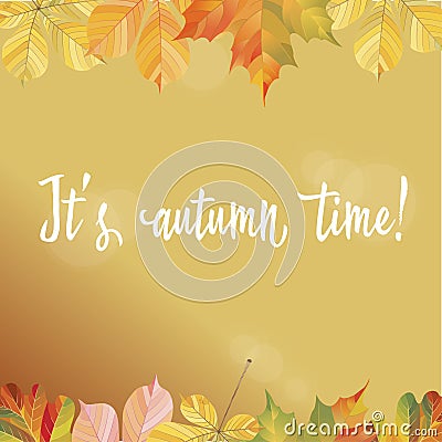 A frame of different autumn leaves. Ready template for your design. Vector illustration Stock Photo