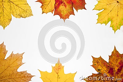 Frame of fallen leaves with place for your text Stock Photo