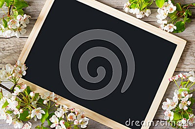 Frame of flowering pear branches with space for text on a blackboard. Delicate flowering and the heady scent of spring Stock Photo